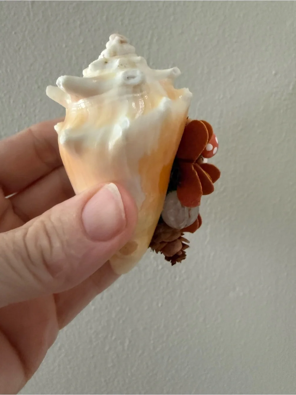 Handmade Cream and Brown Fall Seashell